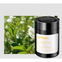 Автопарфум-освіжувач (твердий гель)