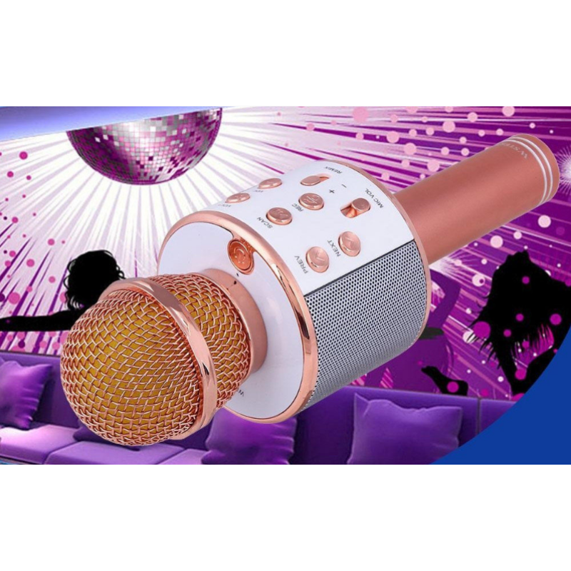 Bluetooth-мікрофон для караоке WSTER WS-858 з функцією зміни голосу - Доступна ціна — гідна якість