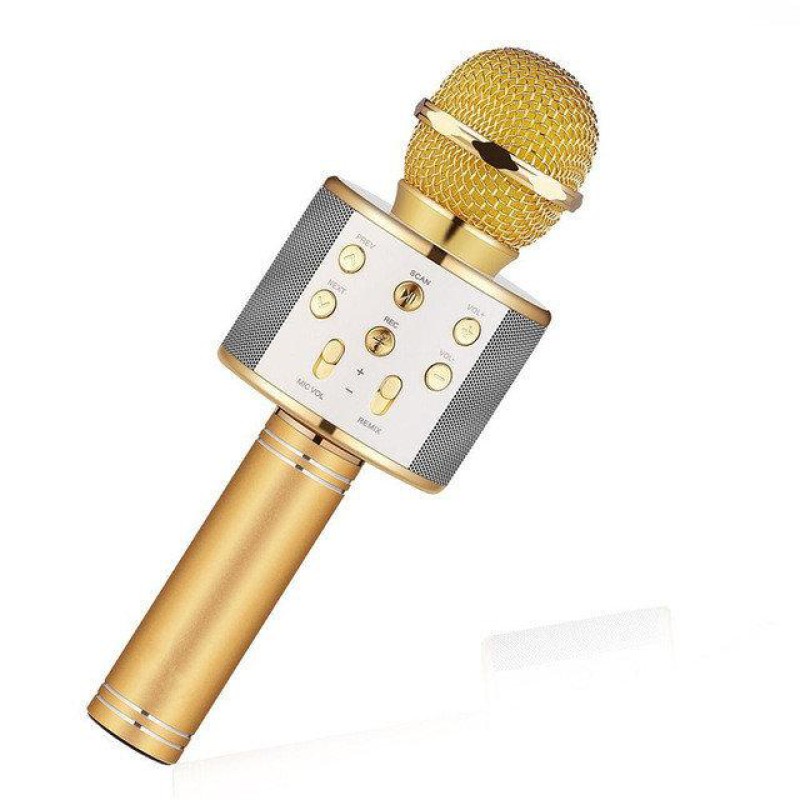 Bluetooth-мікрофон для караоке WSTER WS-858 з функцією зміни голосу - Доступна ціна — гідна якість