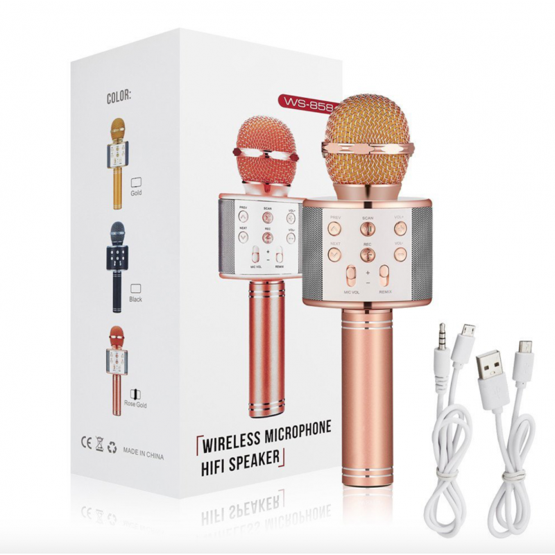 Bluetooth-мікрофон для караоке WSTER WS-858 з функцією зміни голосу - Доступна ціна — гідна якість
